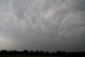 Eifelmammatus0507 021a.jpg